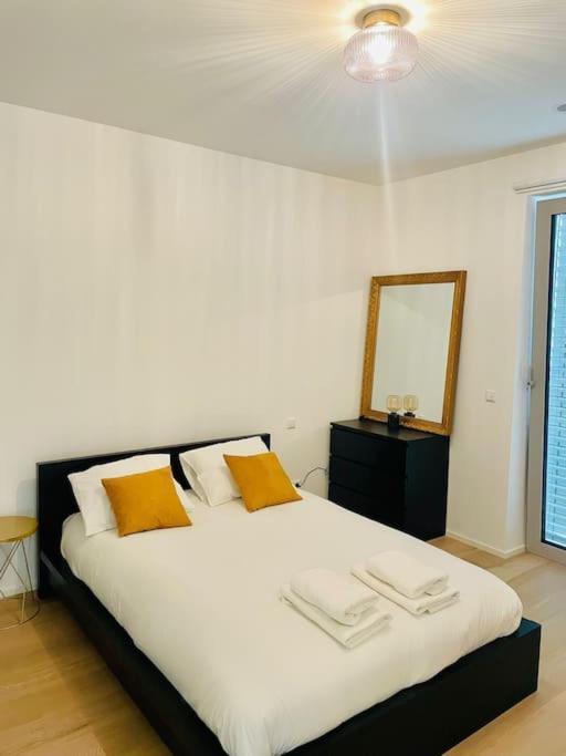 Apartment Large 1 Bedroom In Center Terrace & Parking-chiny1 *